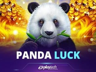 Panda Luck